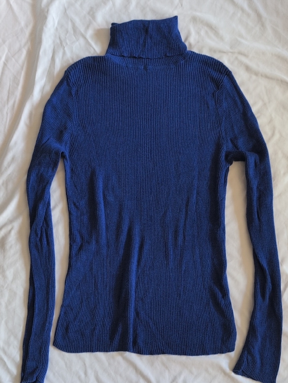 Daisy Fuentes Turtleneck Sweater